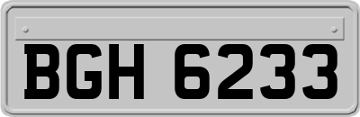 BGH6233