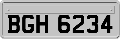 BGH6234