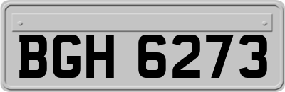 BGH6273