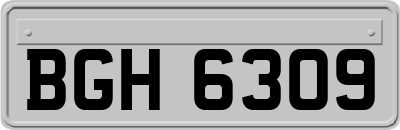 BGH6309