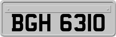 BGH6310