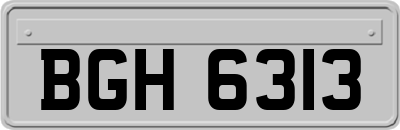 BGH6313