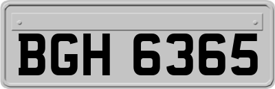 BGH6365