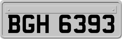 BGH6393