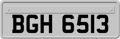 BGH6513