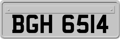 BGH6514