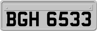 BGH6533