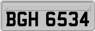 BGH6534