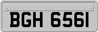 BGH6561