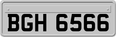 BGH6566
