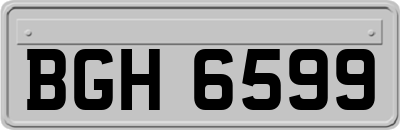 BGH6599