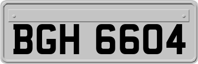 BGH6604