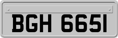 BGH6651