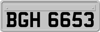 BGH6653