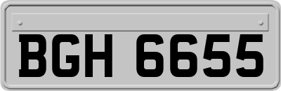 BGH6655