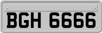 BGH6666