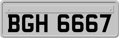 BGH6667