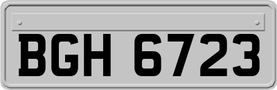 BGH6723