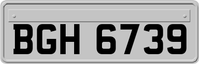 BGH6739