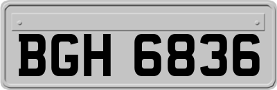 BGH6836