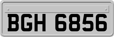 BGH6856
