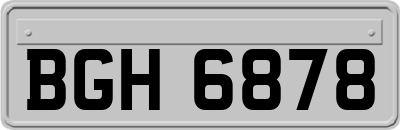 BGH6878