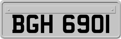 BGH6901