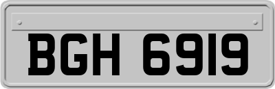 BGH6919