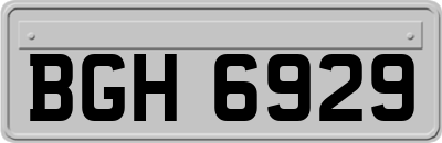 BGH6929