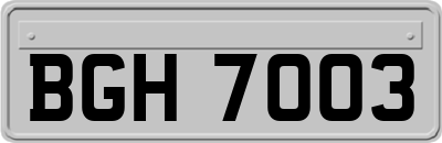 BGH7003