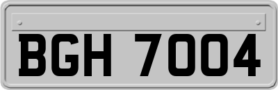 BGH7004