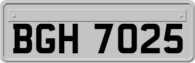 BGH7025