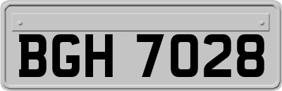 BGH7028