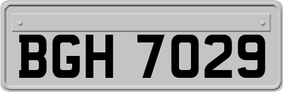 BGH7029