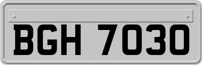 BGH7030