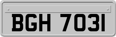 BGH7031
