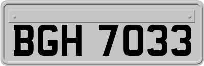 BGH7033