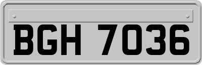 BGH7036