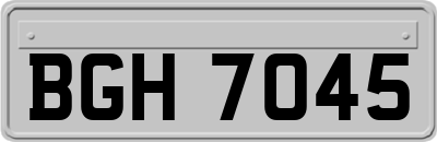 BGH7045