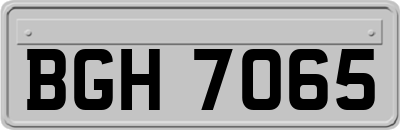BGH7065