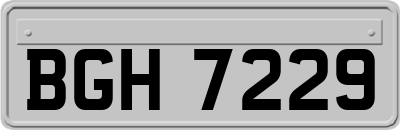 BGH7229