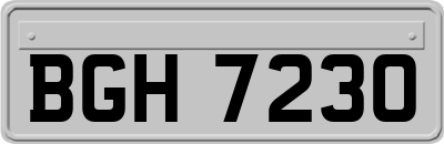 BGH7230
