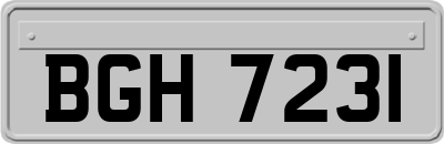 BGH7231