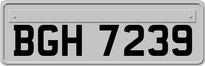 BGH7239