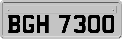 BGH7300
