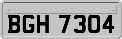 BGH7304