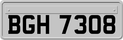 BGH7308