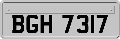 BGH7317