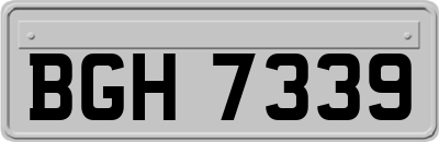 BGH7339