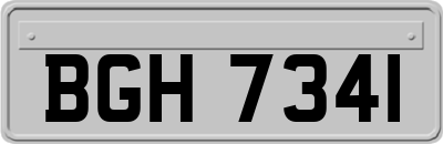 BGH7341